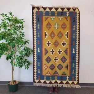 Hand-knotted Kilim Rug, 3' 1"x5', Code:1214