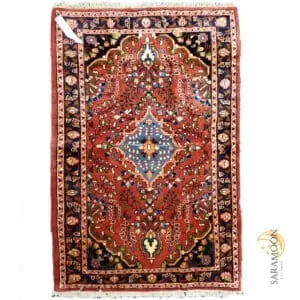 Hand-Knotted Hamedan Small Rug