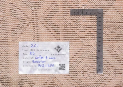 Hand Knotted Bakhtiari Rug 9 11x6 9 Code 2201 - View 8