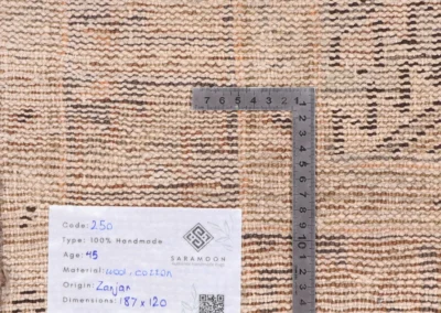 Hand Knotted Zanjan Rug 6 2x3 11 Code 2250 - View 9