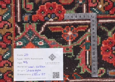 Hand Knotted Sharabian Rug 9 4x6 6 Code 2291 - View 10