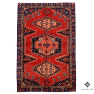 Hand Knotted Wiss Rug 10 2x6 10 Code 2341 - View 1