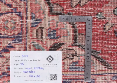 Hand Knotted Hamadan Rug 6 3x3 11 Code 2349 - View 10