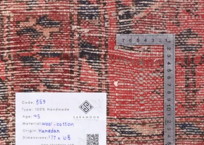 Hand Knotted Hamadan Rug 5 10x3 7 Code 2359 - View 10