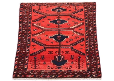 Hand Knotted Hamadan Rug 5 10x3 7 Code 2359 - View 3