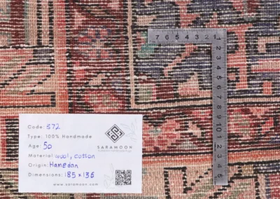 Hand Knotted Hamadan Rug 6 1x4 6 Code 2372 - View 10