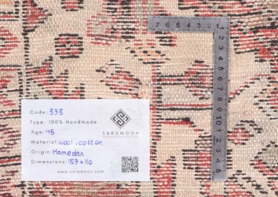 Hand Knotted Hamadan Rug 6 2x3 7 Code 2393 - View 11
