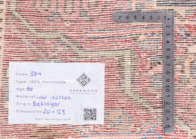 Hand Knotted Bakhtiari Rug 6 7x4 0 Code 2394 - View 12